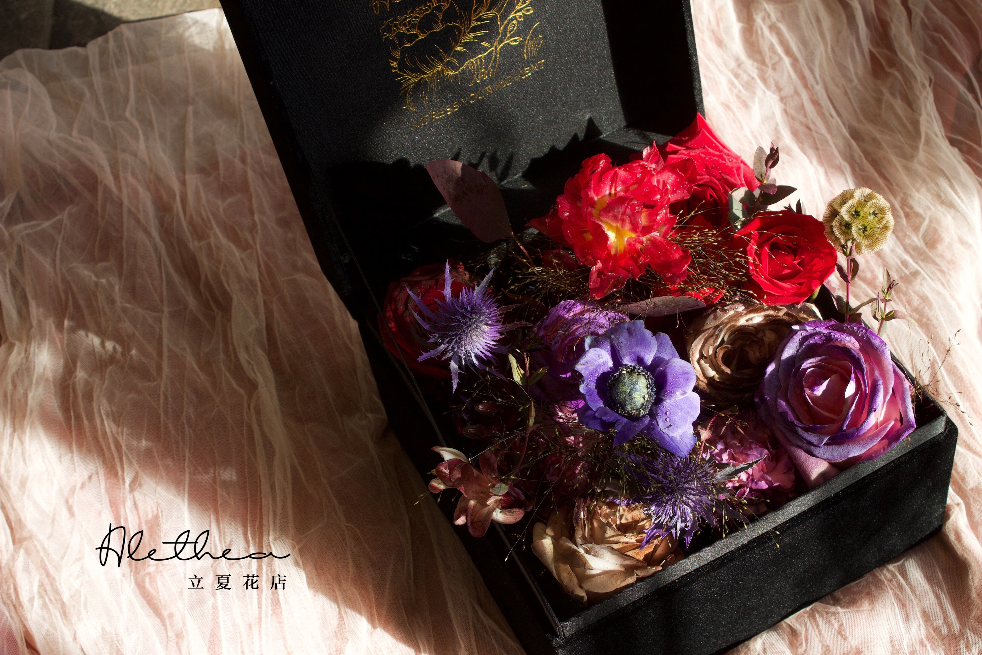 Alethea Sagittarius Impression - Zodiac Sign