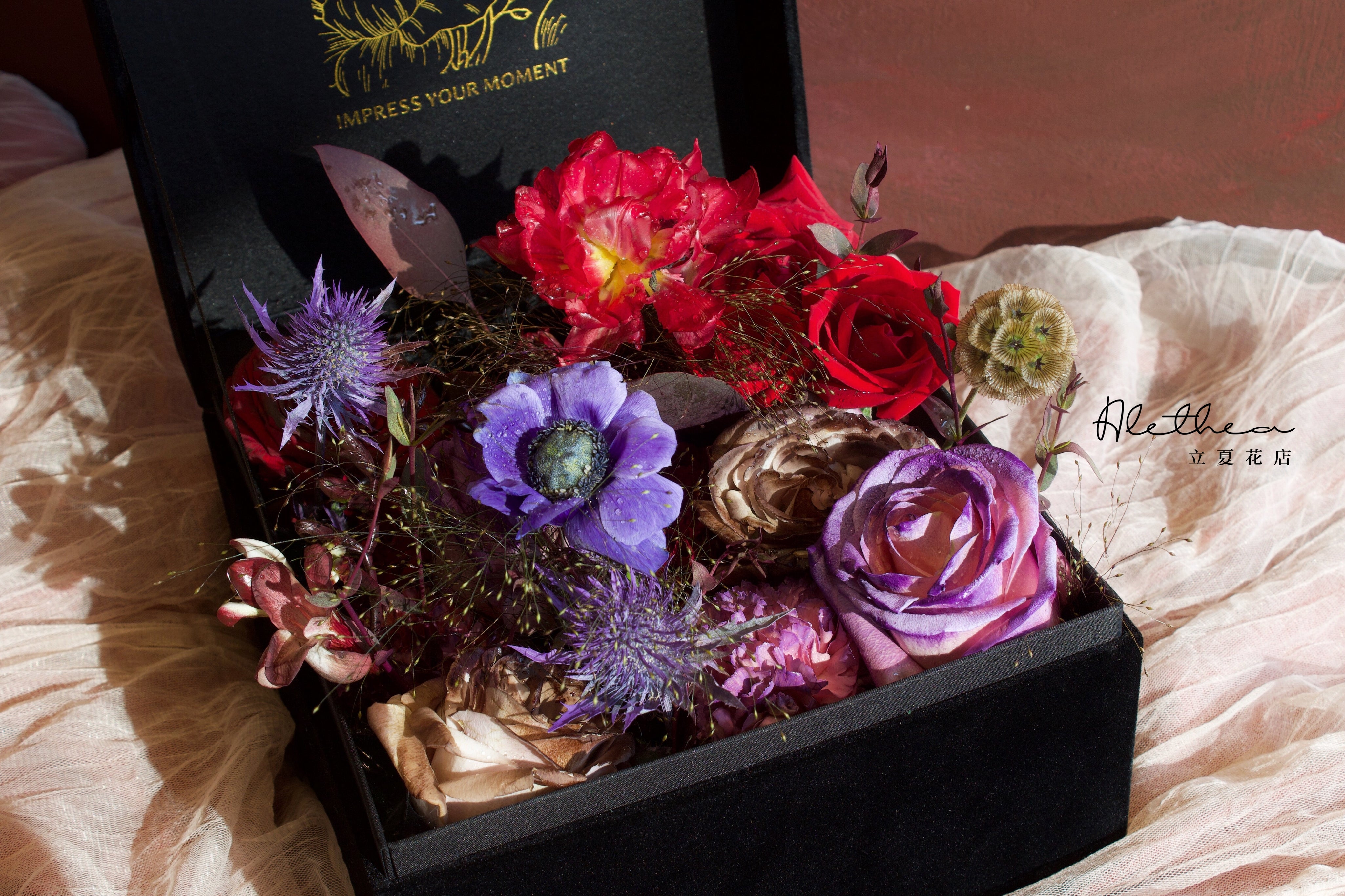 Alethea Sagittarius Impression - Zodiac Sign