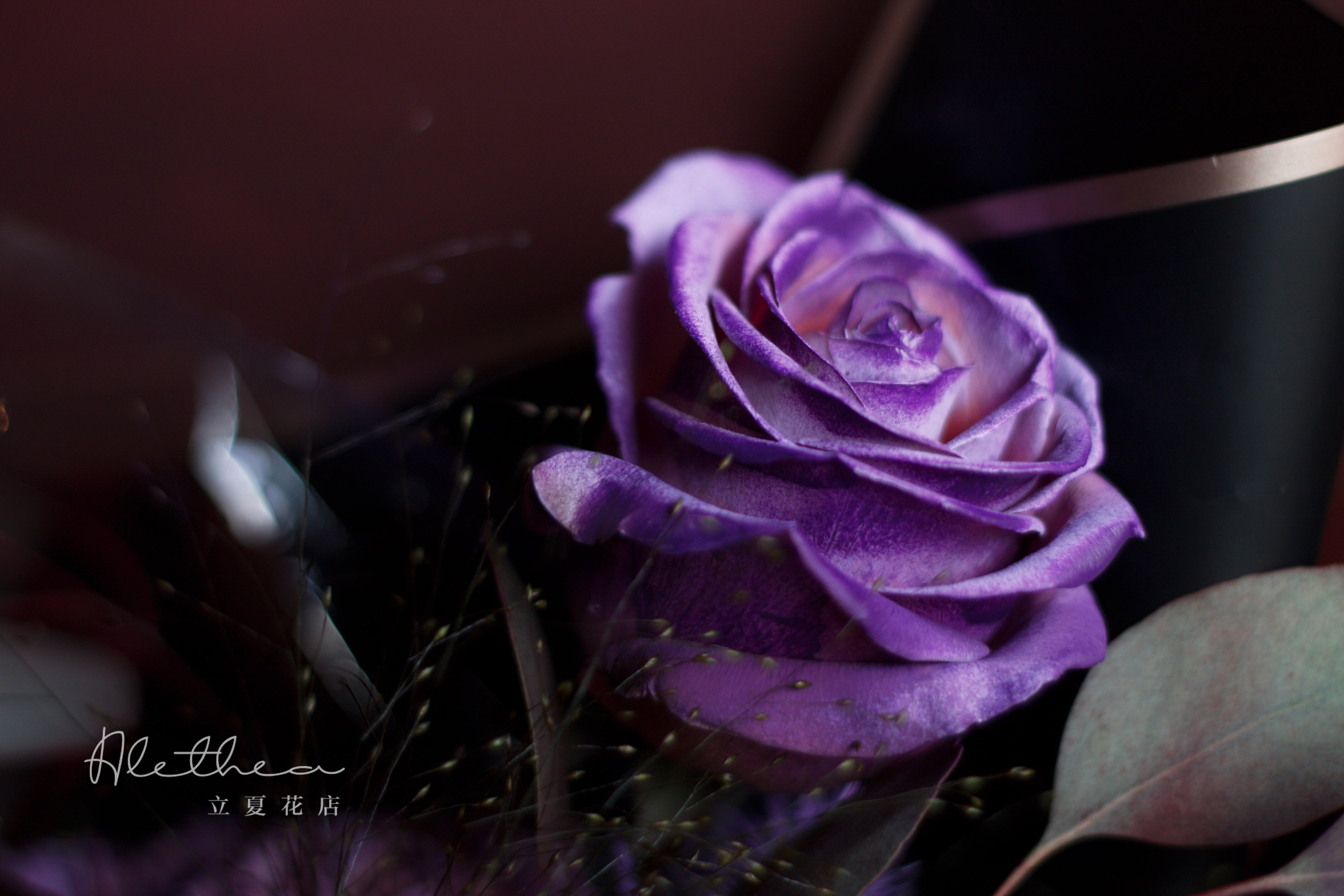 Alethea Scorpio Urban Bouquet - Zodiac Sign