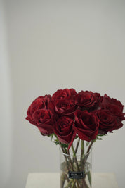 Red Rose Vase-2025 Valentine’s Day