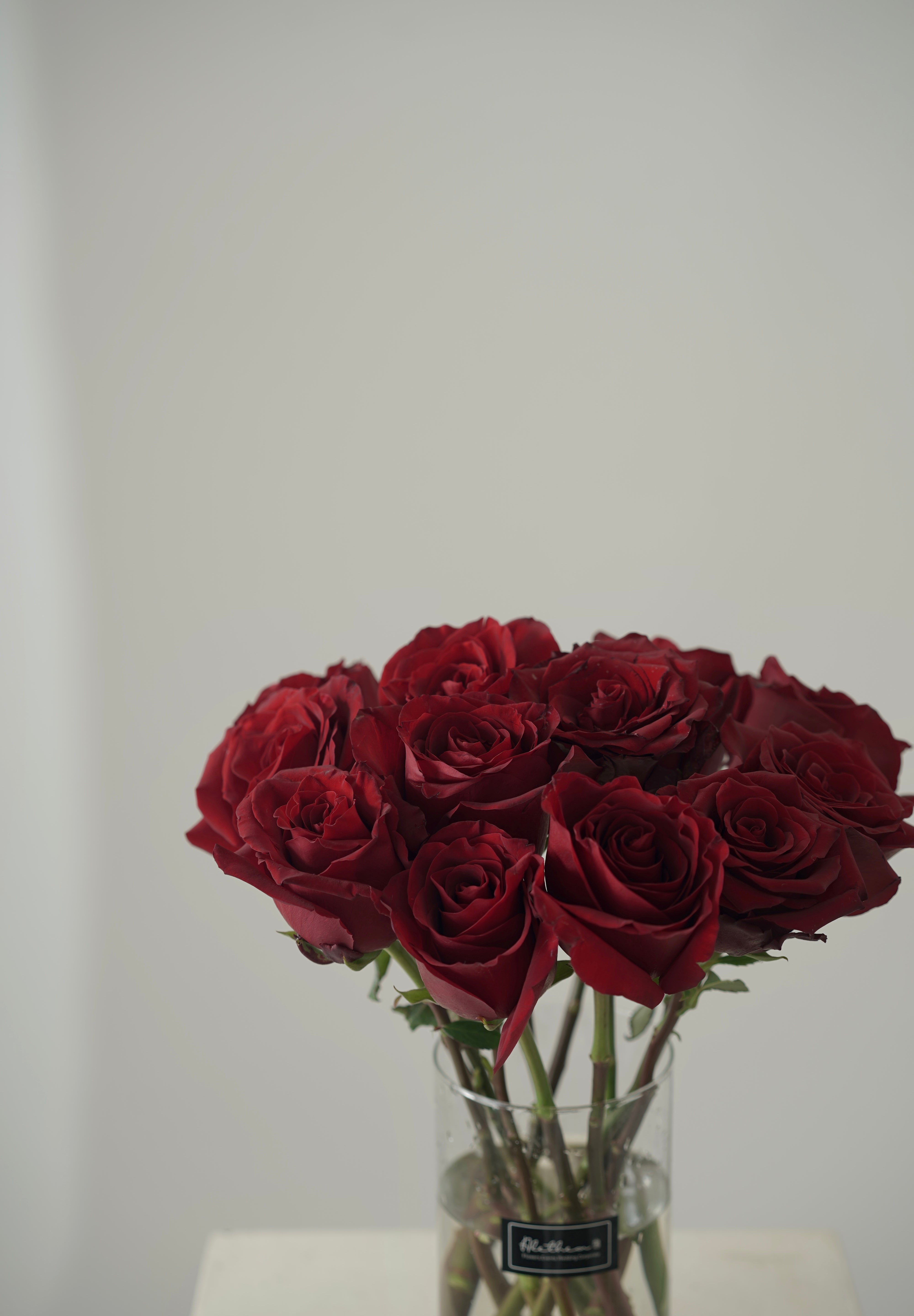 Red Rose Vase-2025 Valentine’s Day