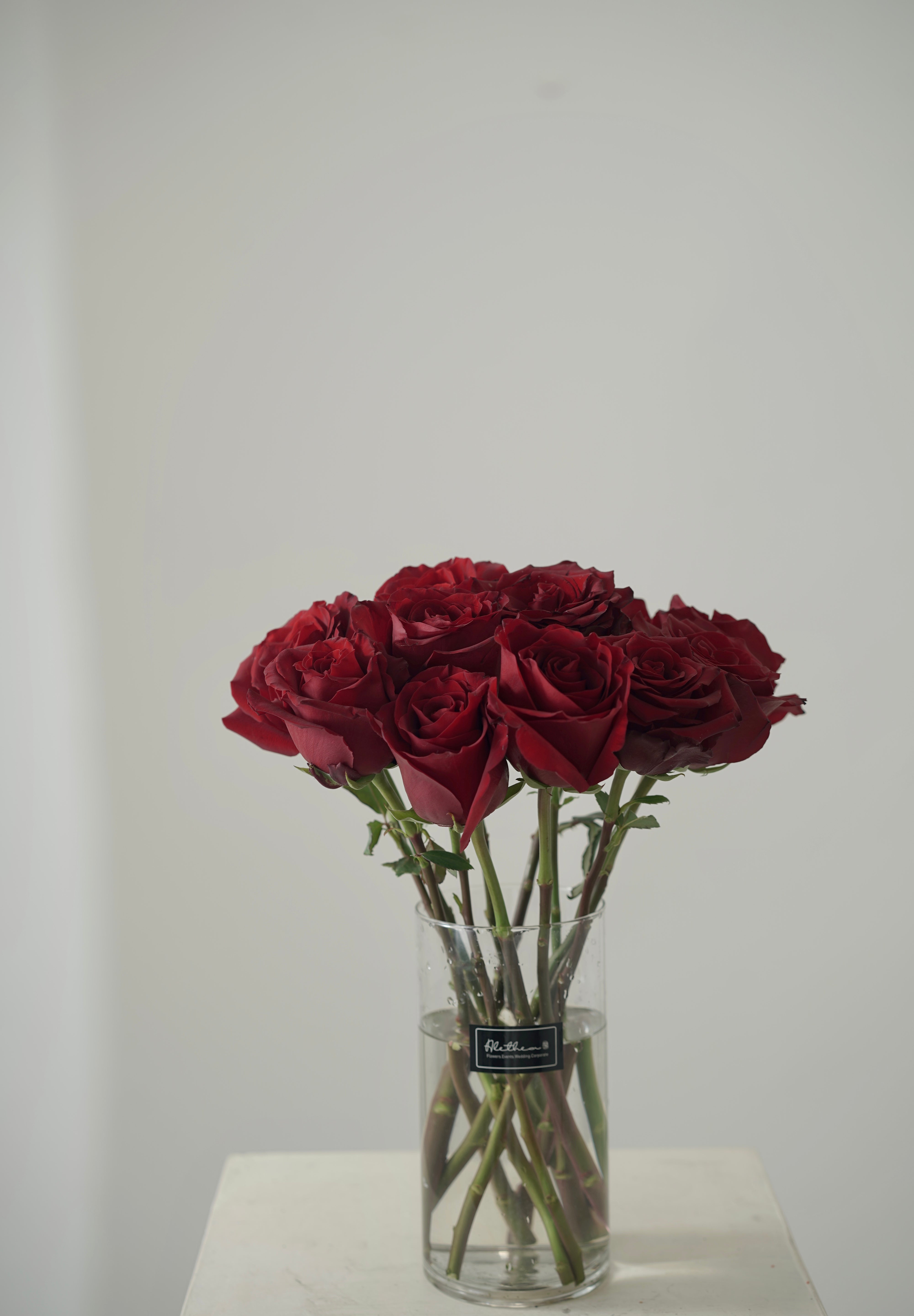 Red Rose Vase-2025 Valentine’s Day