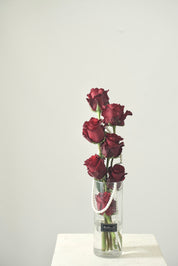 Alethea Red Vase-2025 Valentine's Day