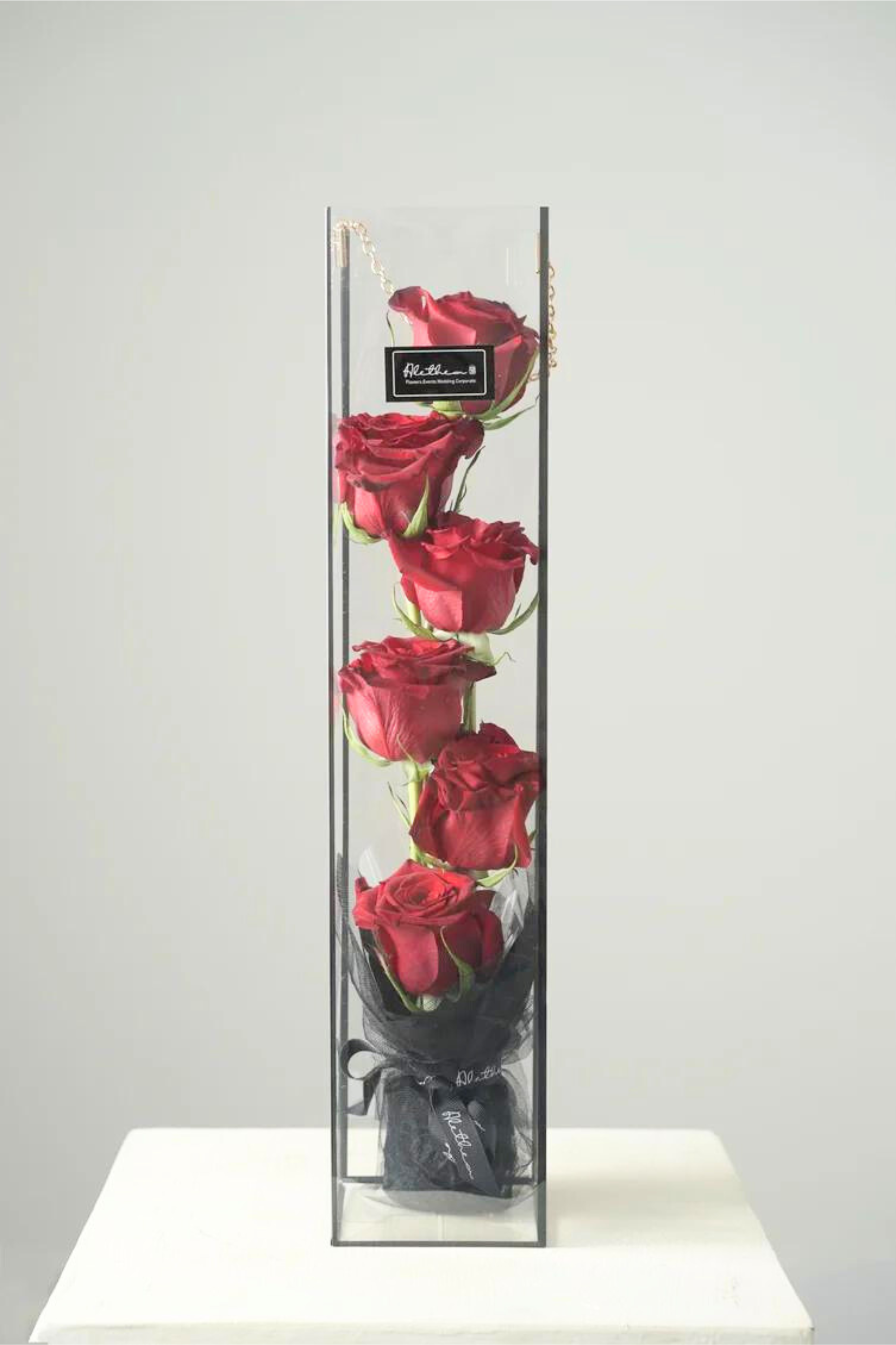 Clear Long Flower Gift Box - Red Rose