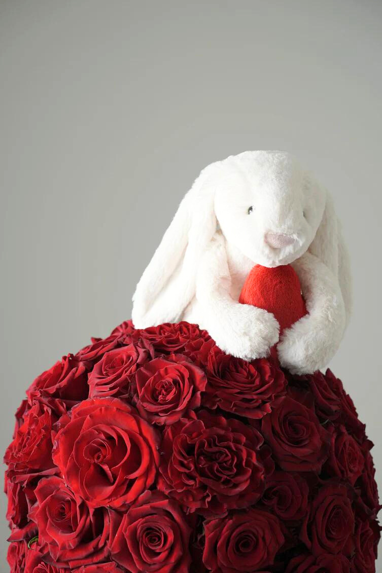 Hug My Red Love Heart Bunny
