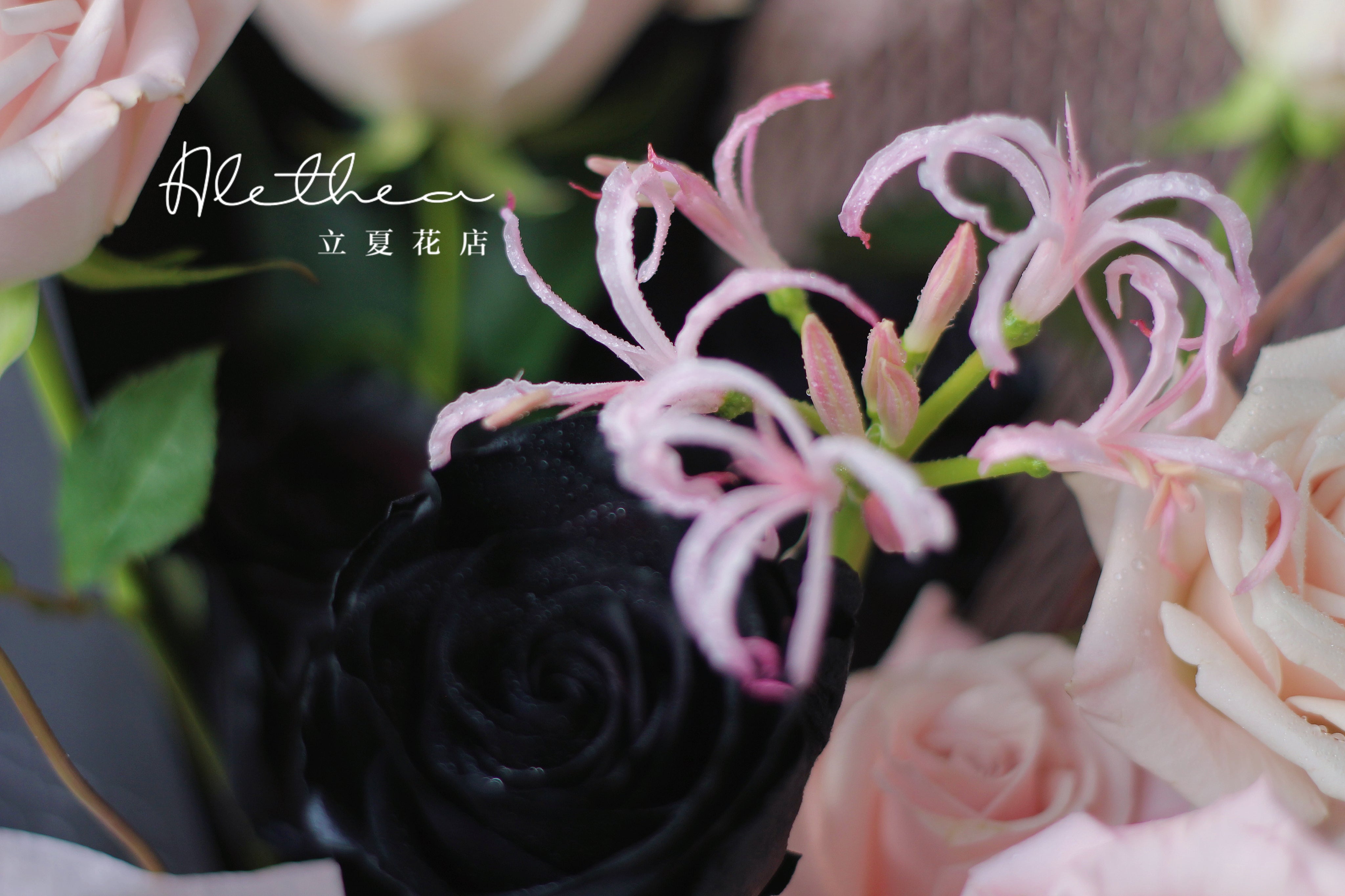 Blush&Noir Bouquet - Qixi 2023