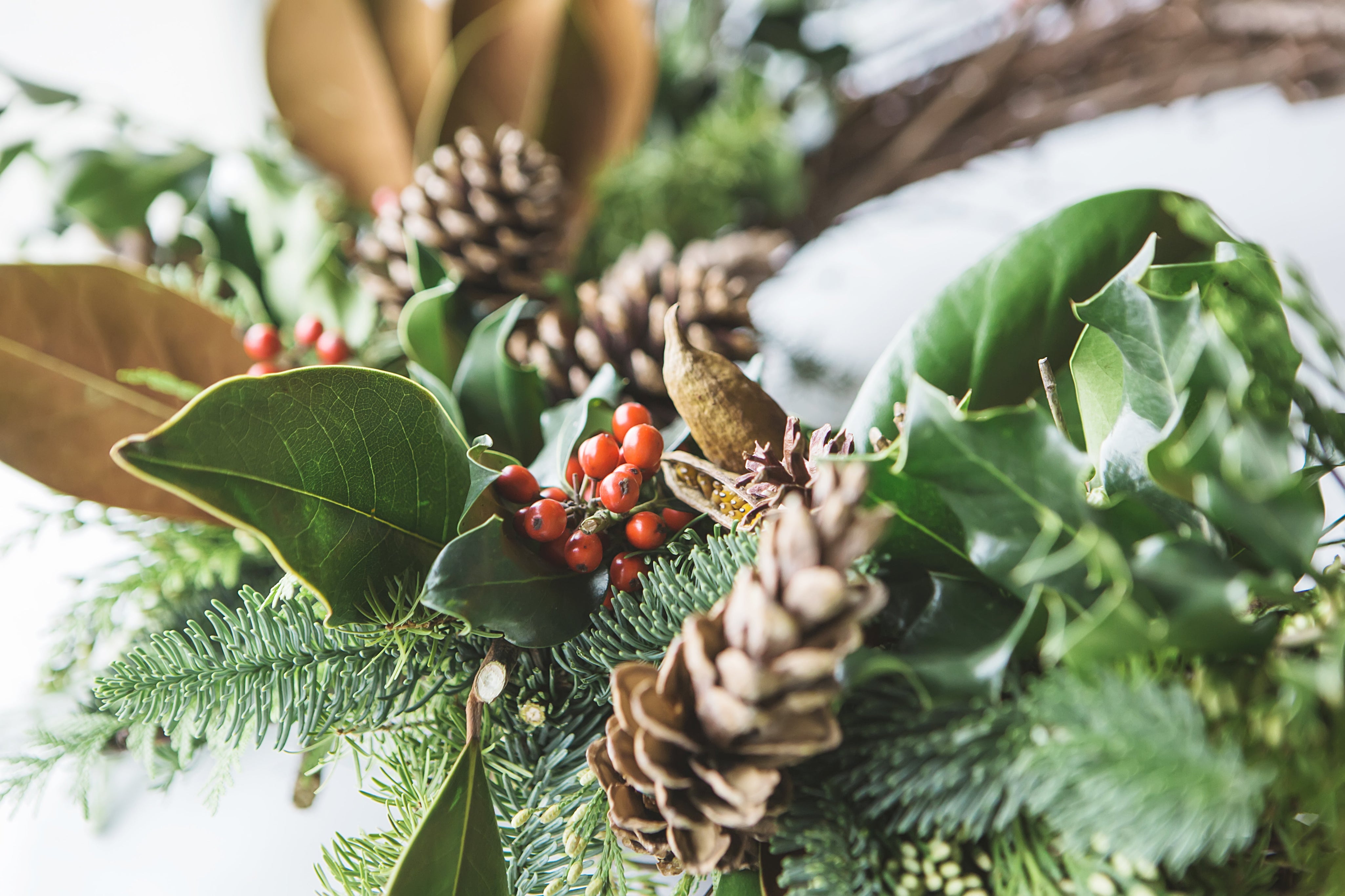 Traditional Christmas Wreath 传统圣诞装饰环