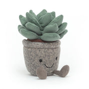 SIlly Succulent Azulita Jellycat