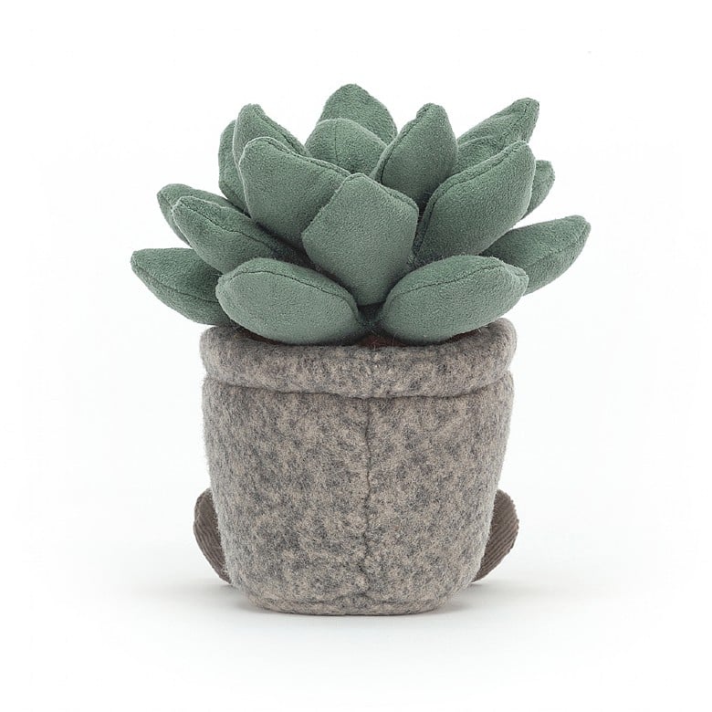 SIlly Succulent Azulita Jellycat